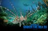 underthesea05_1600x1200.jpg