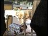 esotsm-conversation129.jpg